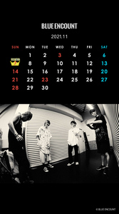 CALENDAR 2021.11