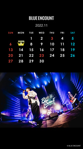 CALENDAR 2022.11
