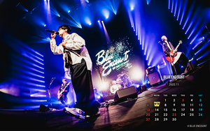 CALENDAR 2022.11